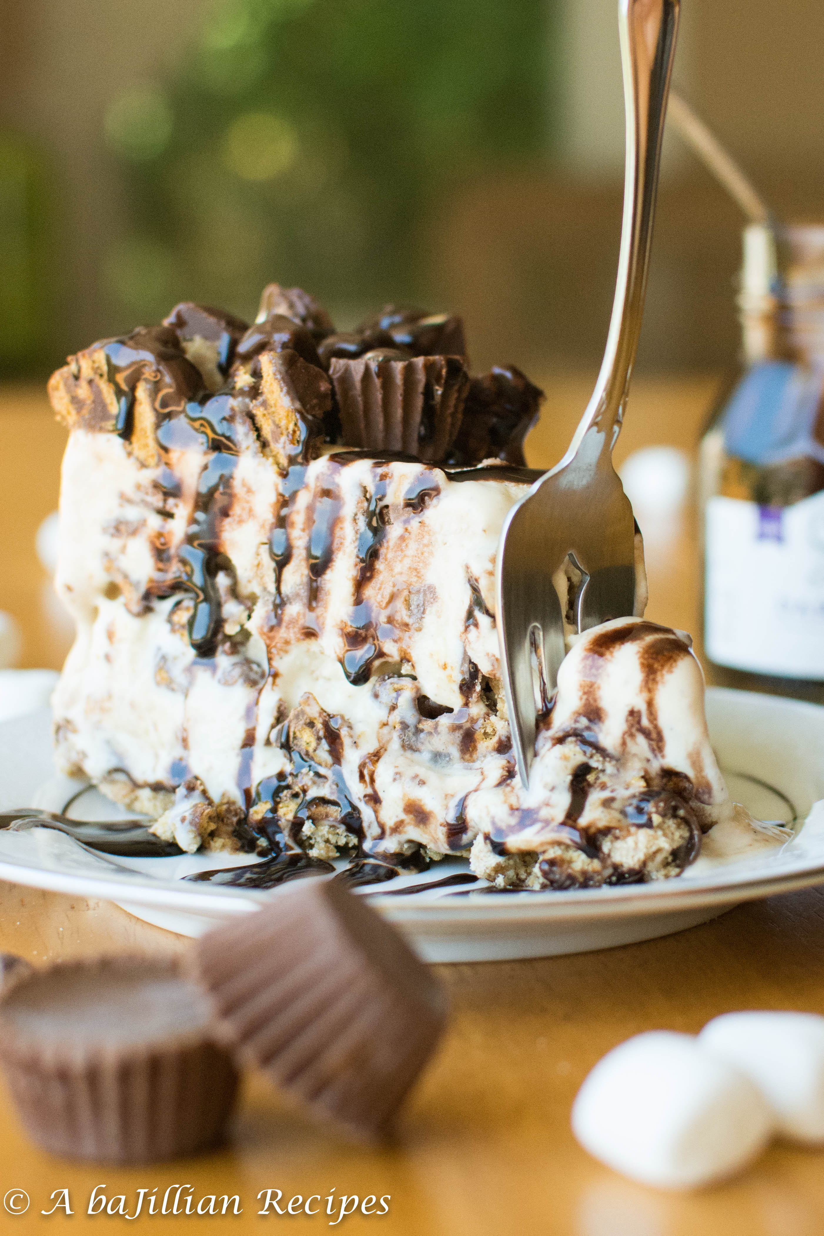 Peanut Butter S'mores Ice Cream Cake A baJillian Recipes